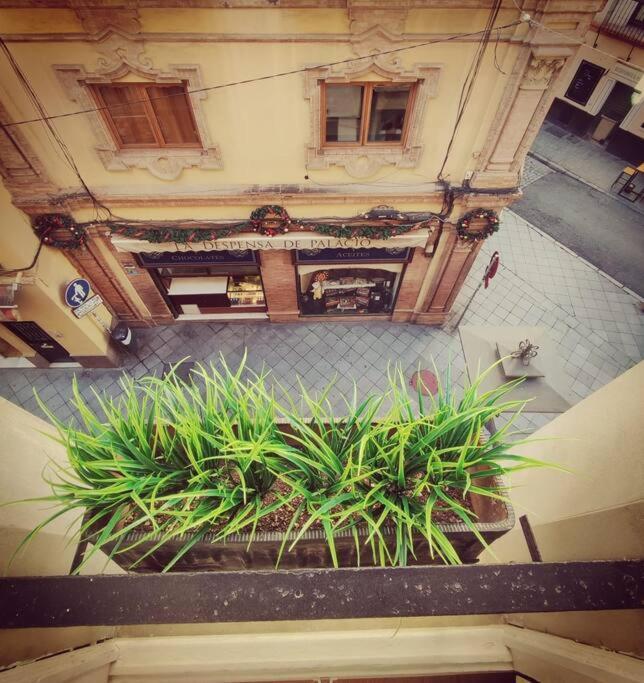 Estudio Centro De Sevilla ภายนอก รูปภาพ
